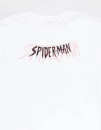 Urban Web Hero Graphic Boxy T-Shirt for Streetwear Fans