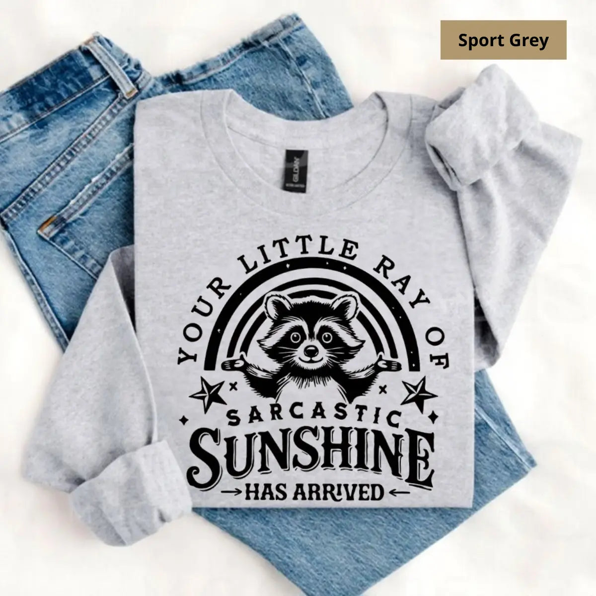 "Your Little Ray Of Sarcastic Sunshine" Funny Raccoon Pullover - Vintage Sassy Aesthetic Jumper