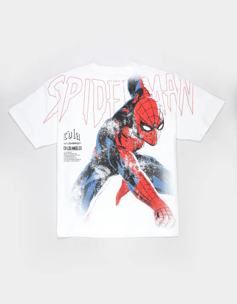 Urban Web Hero Graphic Boxy T-Shirt for Streetwear Fans