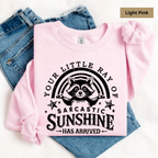 "Your Little Ray Of Sarcastic Sunshine" Funny Raccoon Pullover - Vintage Sassy Aesthetic Jumper