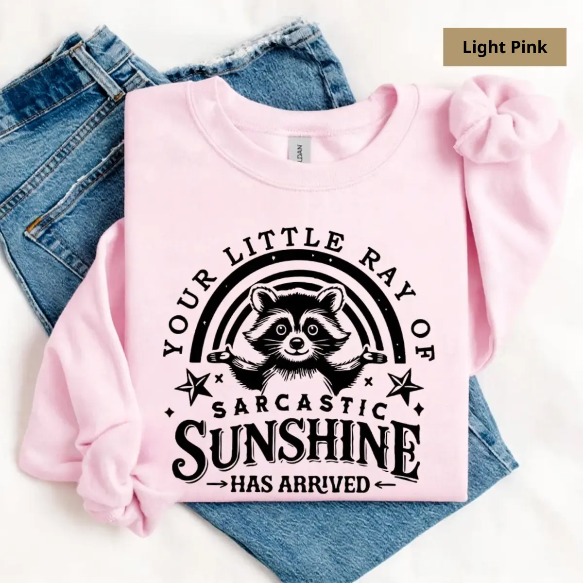 "Your Little Ray Of Sarcastic Sunshine" Funny Raccoon Pullover - Vintage Sassy Aesthetic Jumper
