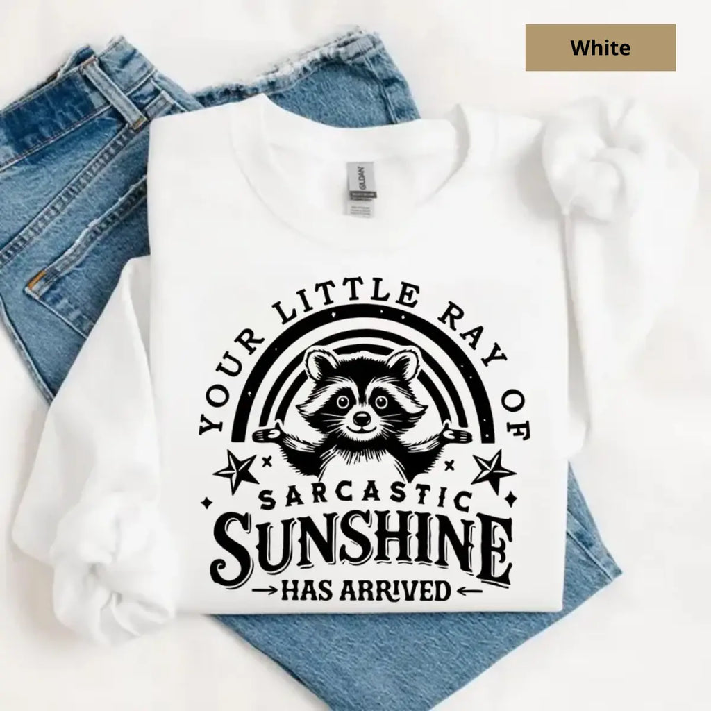 "Your Little Ray Of Sarcastic Sunshine" Funny Raccoon Pullover - Vintage Sassy Aesthetic Jumper
